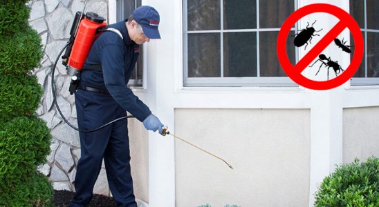 Ağlasun Hamam Böceği İlaçlama böcek ilaçlama ve haşere kontrolü — ilaclama-tr.com